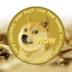 Meme coin