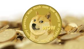 Meme coins
